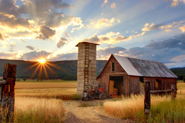 Agriculture & Agroalimentaire